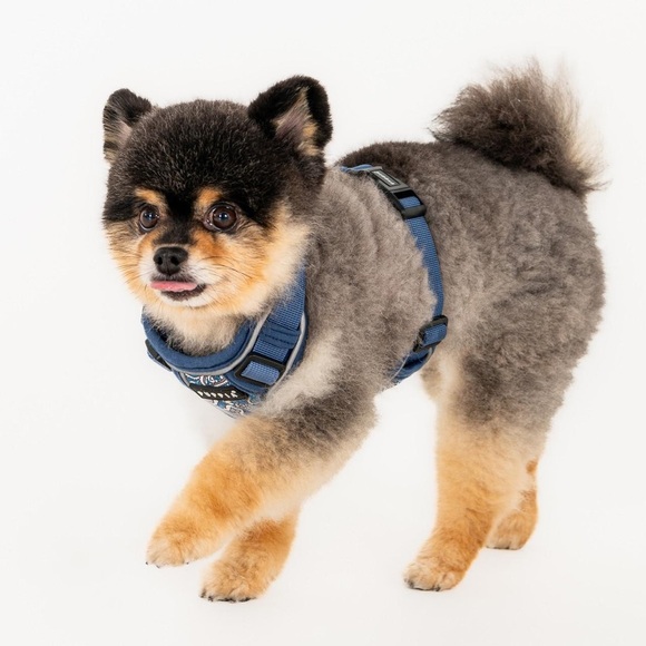Puppia Navy Blue Dog Harness Puppia Cynthia Harness H - Picture 3 of 9
